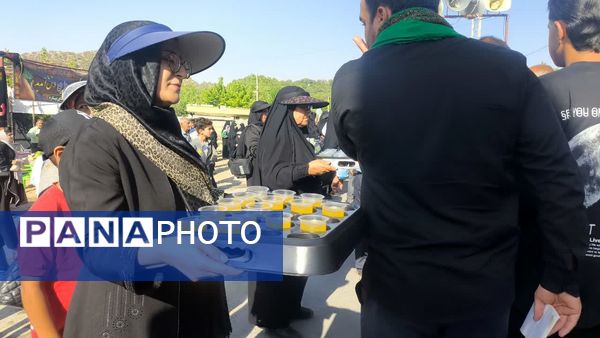 پیاده‌روی حرم تا حرم جاماندگان اربعین 