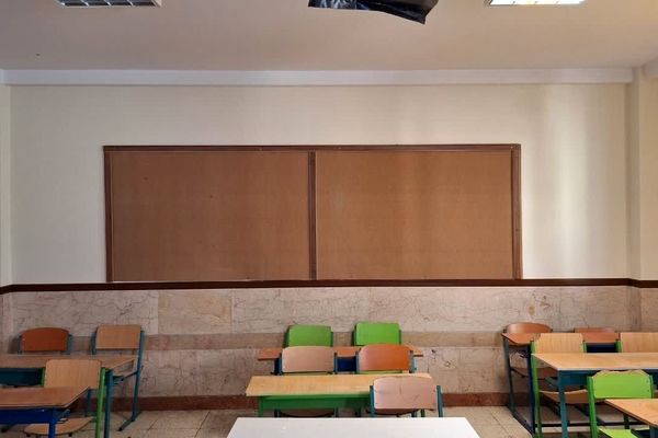 خلاقیت و همدلی دانش‌آموزان با نیازهای ویژه قزوینی در زیباسازی مدرسه