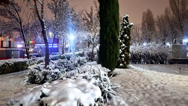 پارک‌های شهر مشهد در آغوش برف