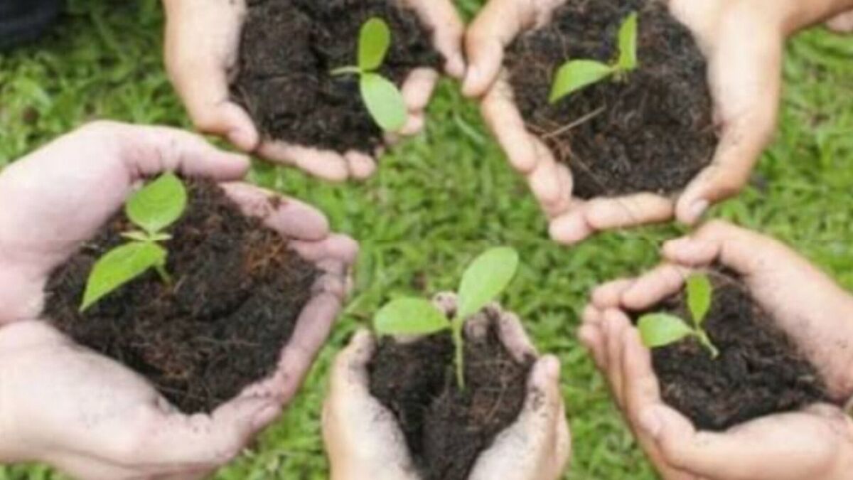 صدایی برای سبز ماندن وطن