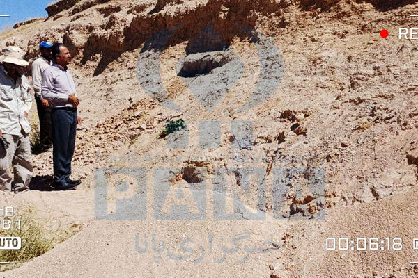 کشف سایت فسیلی ۸ میلیون ساله در دهگلان