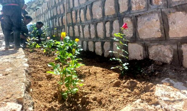 کاشت گل و گیاه در شهر منج، راهی برای احیای زمین