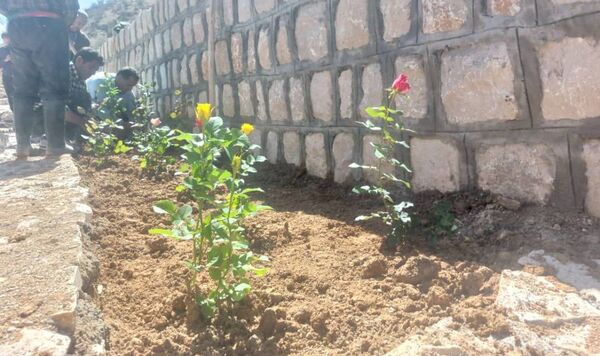 کاشت گل و گیاه در شهر منج، راهی برای احیای زمین
