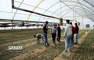 هنرستان‌ها، ظرفیتی مناسب برای تامین منابع انسانی مورد نیاز در بخش کشاورزی هستند