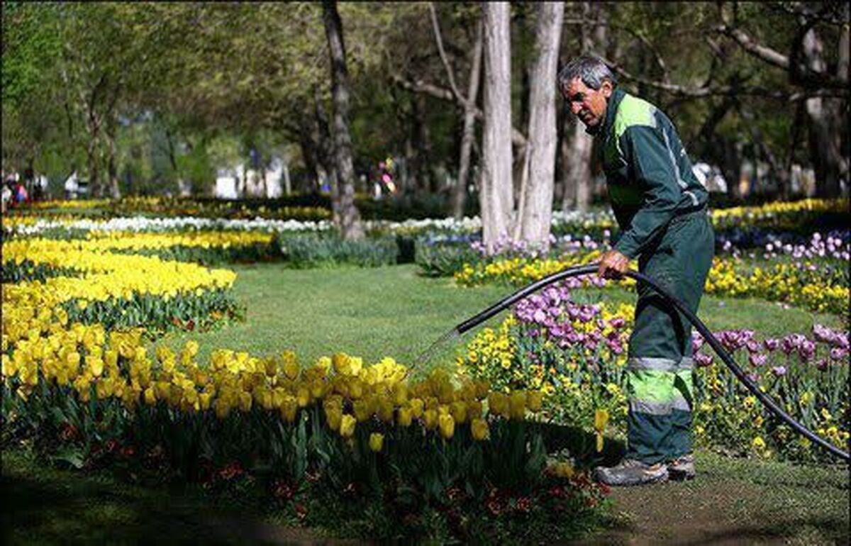 آبیاری درختان و فضای سبز شهری با آب چاه‌ها و پساب‌ها 