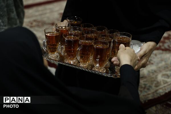 حضور مردم اسلامشهر در آستان امامزاده عقیل در سوگ امام رضا(ع) 
