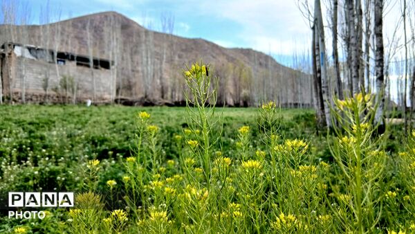  نجوای بهار در روستای سرتشنیز