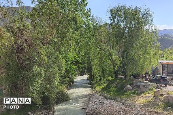 آلبوم تصویری از طبیعت زیبای شهر بار در اردیبهشت‌ماه  ۱۴۰۵ـ۲