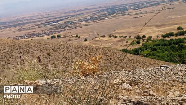 کوه ها و طبیعت زیبای بوژ آباد میهمان قاب پانا