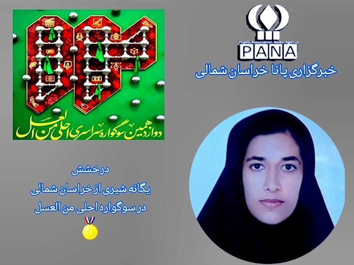 گفت‌وگو با خبرنگار برتر پانا استان در سوگواره احلی من العسل