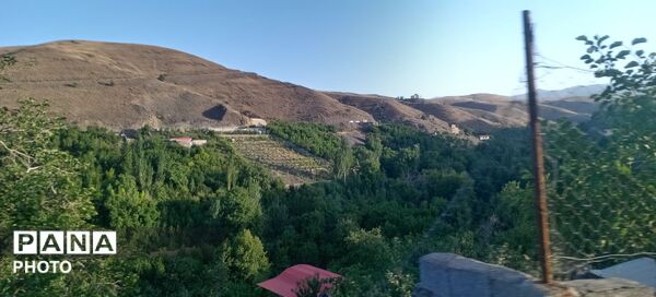 حال و هوای درختان روستای مایان