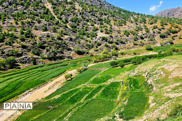مهمان نوازی مردم انقلابی و غیور روستای پل بریده از مسئولین و رزمندگان