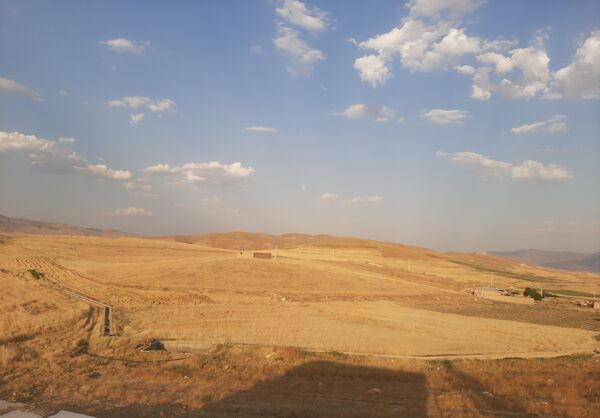  آغاز برداشت گندم از مزارع شهرستان هلیلان 