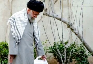 شاخه های درختِ تنومند کشور ایران به خورشید سربلندی خواهد رسید