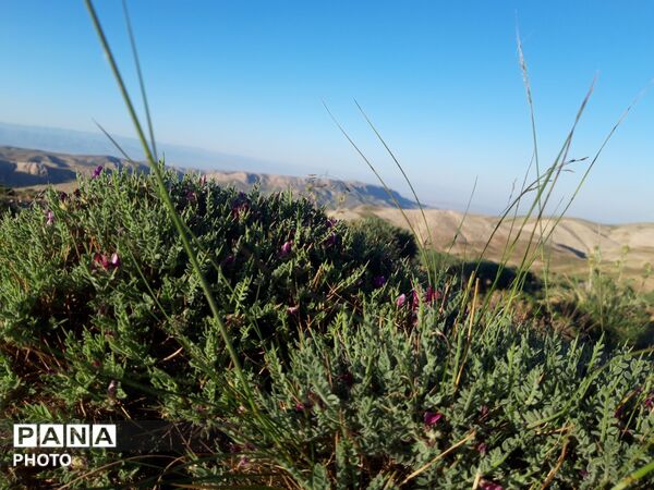 منظره ی دیدنی طبیعت کوه های شهر بار 