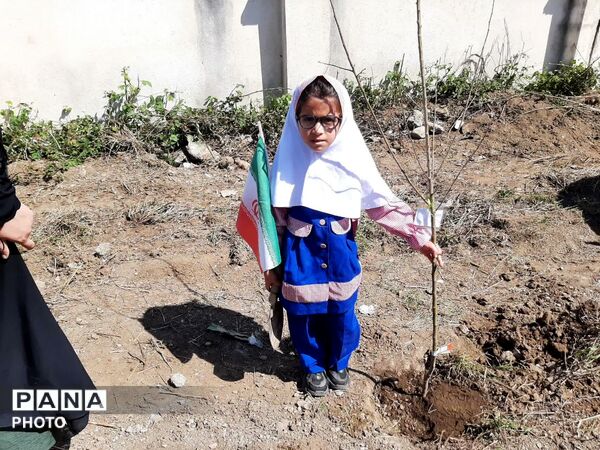 کاشت ۴۰ اصله نهال  به مناسبت چهلمین روز شهادت‌ قائد امت اسلامی ودانش آموزان میناب در تالش