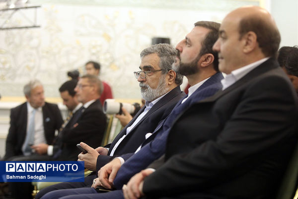  دیدار مدیرکل آژانس انرژی اتمی با رئیس سازمان انرژی اتمی