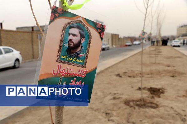 کاشت درخت به یاد شهدا در محمدشهر 