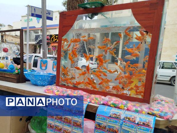 مردم شهرستان کاشمر از بهار و عید نوروز استقبال کردند