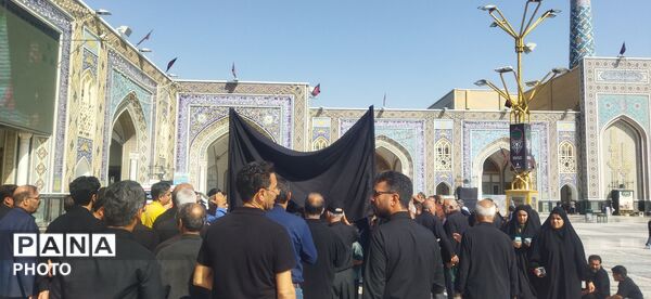 مراسم سینه زنی و عزاداری امام رضا علیه السلام توسط هیئات کاشمر 