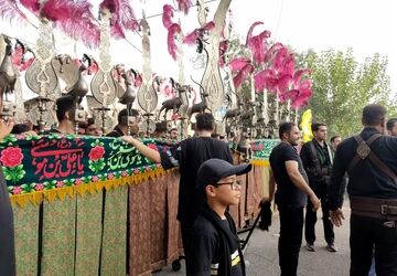 آئین سنتی علم کشی و عزاداری در جوشقان کاشان