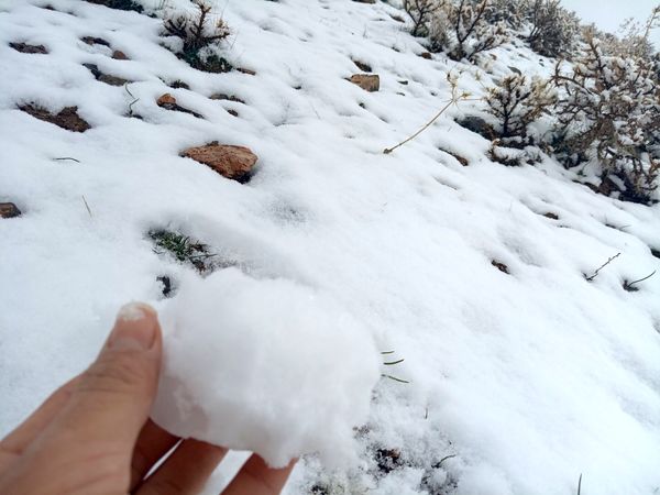 بارش برف بهاری در کوهسرخ