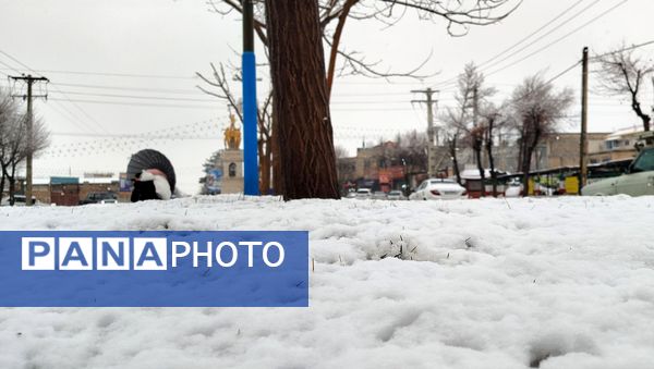 لردگان میزبان اولین برف زمستانی 