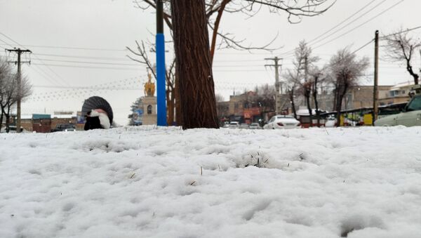 لردگان میزبان اولین برف زمستانی 