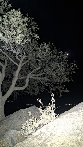 ماه در نقاب سایه زمین 