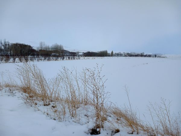 بارش برف آخرین ماه زمستان در آذربایجان شرقی