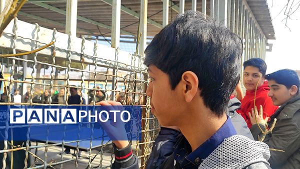 فینال مسابقات تنیس روی میز در دبیرستان شاهد ابوذر غفاری 