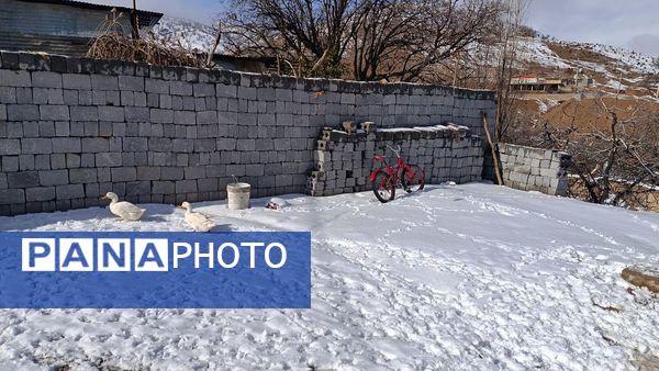 بارش برف در میانکوه