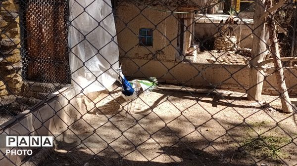 بازدید خبرنگاران پانا جلگه رخ از تربت حیدریه و آشنایی با میراث تاریخی و طبیعی 