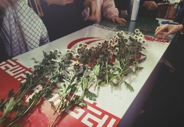 مراسم استقبال از شهید گمنام در نیشابور