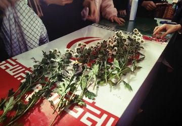 مراسم استقبال از شهید گمنام در نیشابور