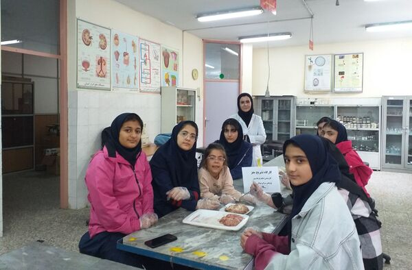 برگزاری کلاس آناتومی و تشریح مغز در پژوهش‌سرای بوعلی سینا ملارد