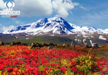 روز اردبیل بیانگر تاثیر این خطّه در وحدت مذهبی ایران 