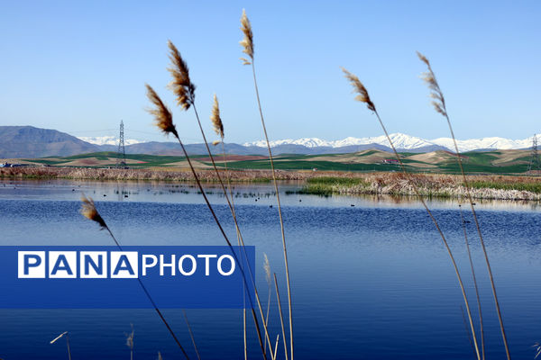 تور رسانه‌ای بازدید از تالاب‌های حوضه آبریز دریاچه ارومیه