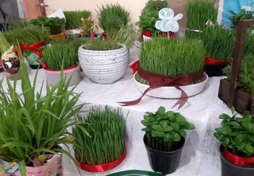 روایت قصه بهار در جشن سبزه‌های دانش‌آموزان شهر صغاد