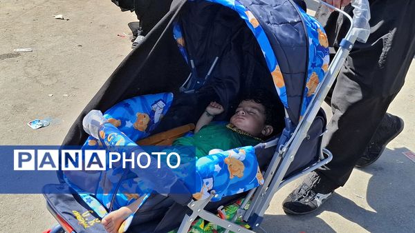 جلوه‌هایی از حضور کودکان در مسیر مشایه نجف تا کربلا