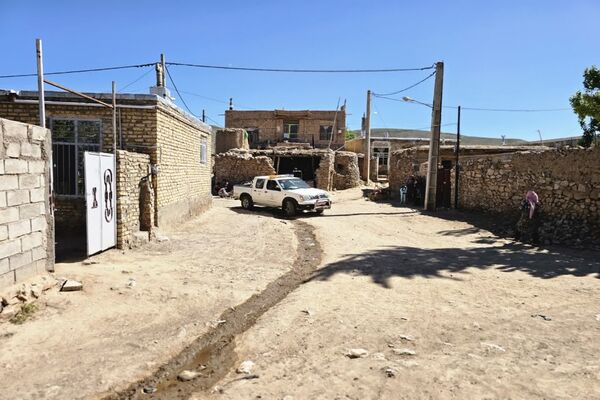 شیوع بیماری زنگ زرد در مزارع گندم و جو در روستاهای دهستان سنگر شهرستان فاروج