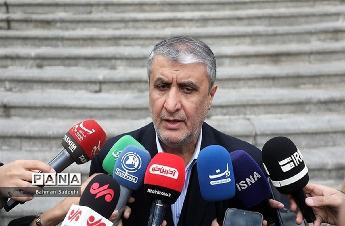  پرتودهی محصولات کشاورزی برای اولین بار انجام می‌شود/ تا پایان دولت چهاردهم دو نیروگاه هزار مگاواتی افتتاح می‌شود