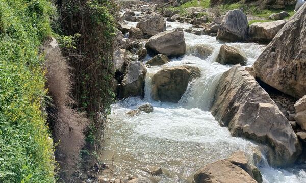 طبیعت روستای بارز، طبیعتی زیبا در دل استان چهارمحال‌وبختیاری 