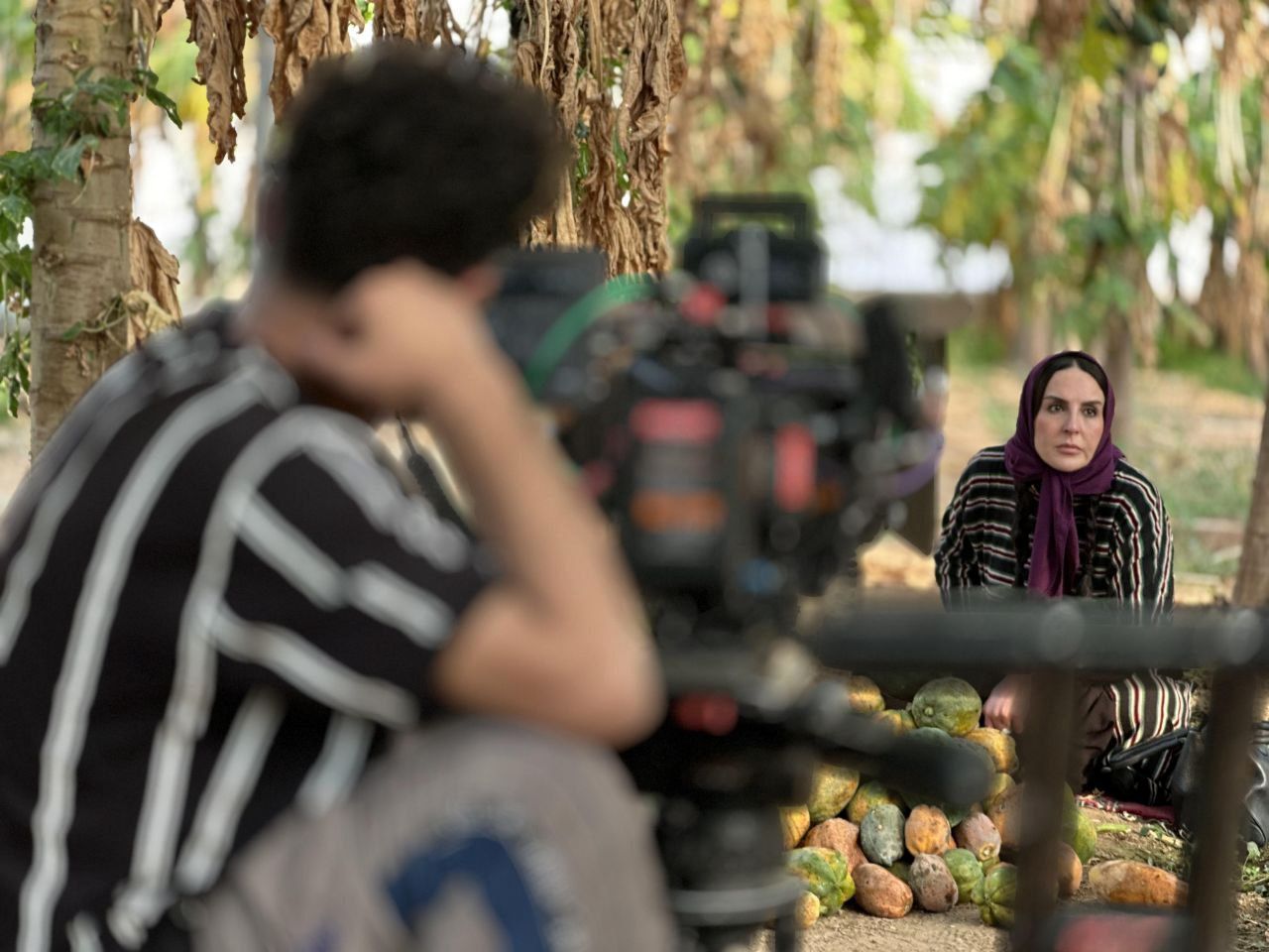 علیرضا اوسیوند برای پسرش به نبرد با درختان پاپایا می‌رود 