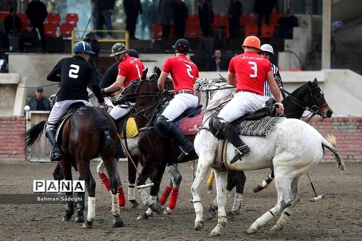 ناظری: وزیر ورزش از ثبت روز ملی چوگان و احیای چوگان در نقش جهان حمایت کرد