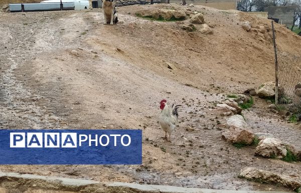 میانکوه سال ۱۴۰۴ خود را متفاوت شروع کرد