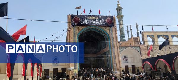 دل‌های جامانده، گرد حرم سلطان علی(ع) در مشهد اردهال به شور افتادند