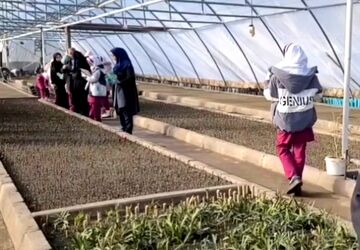 بازدید دانش‌آموزان شهرستان خوی از واحد کشت گل و گیاه