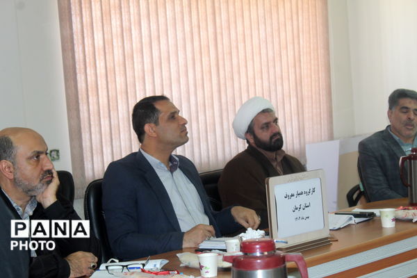 کارگروه طرح همیار معروف در کرمان