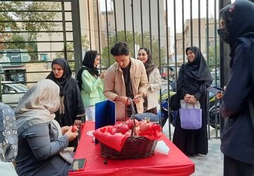 انار، بوم هنر شد؛ نقش خیال بر یاقوت سرخ کیان‌شهر
